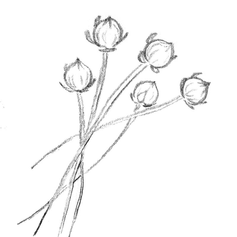 linen